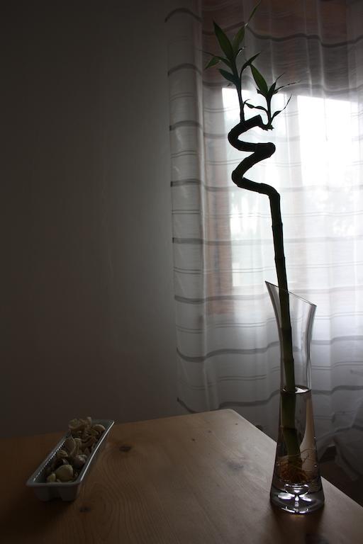Bed and Breakfast I Due Orfici Cona  Exterior foto